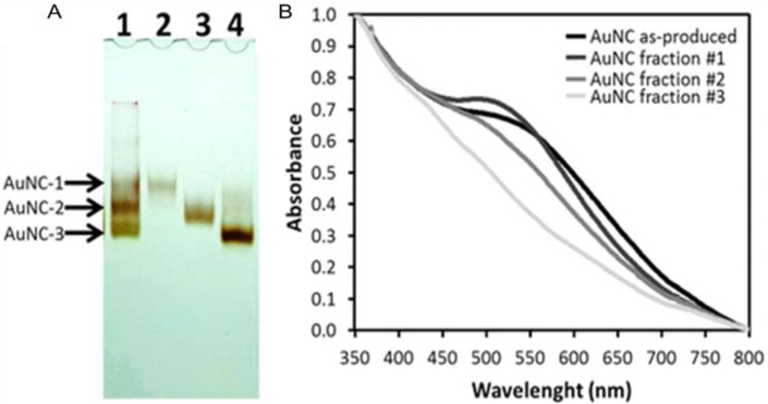 Figure 12.