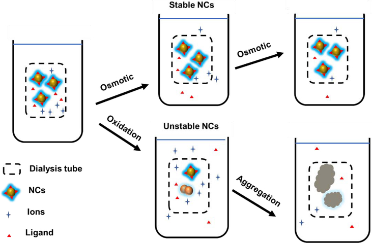 Figure 7.