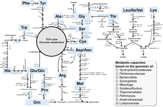 Fig. 2.