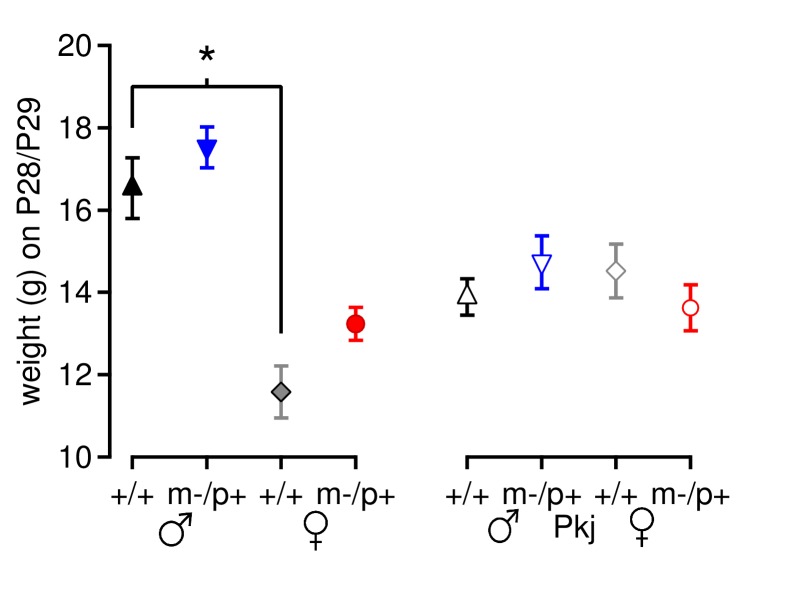 Figure 6—figure supplement 1.