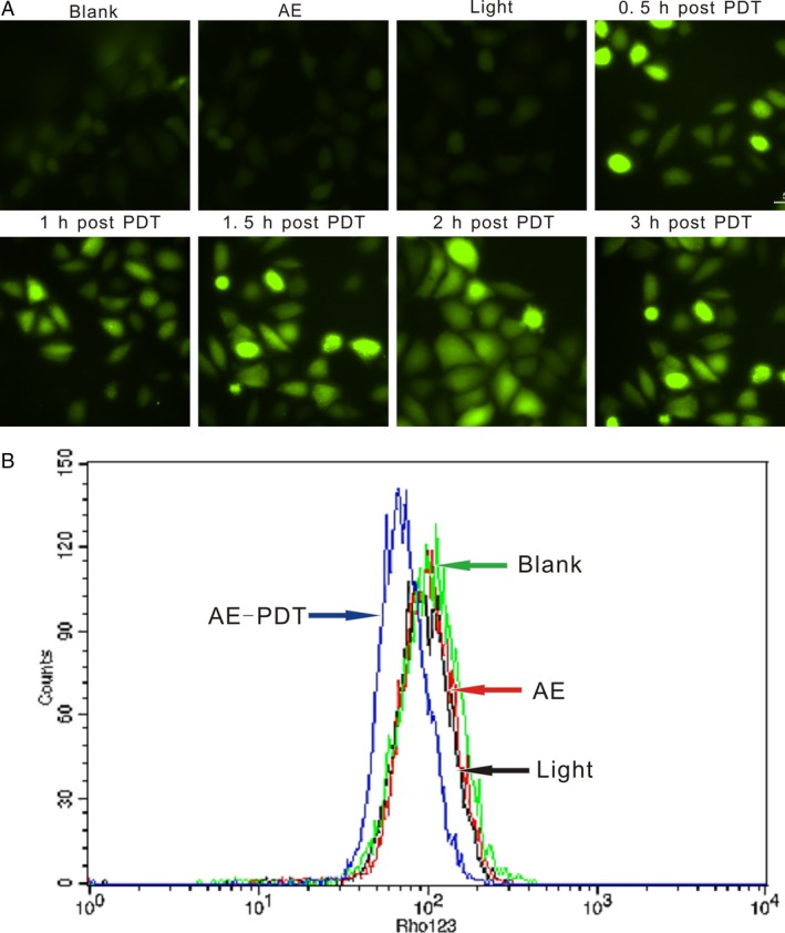 Figure 4