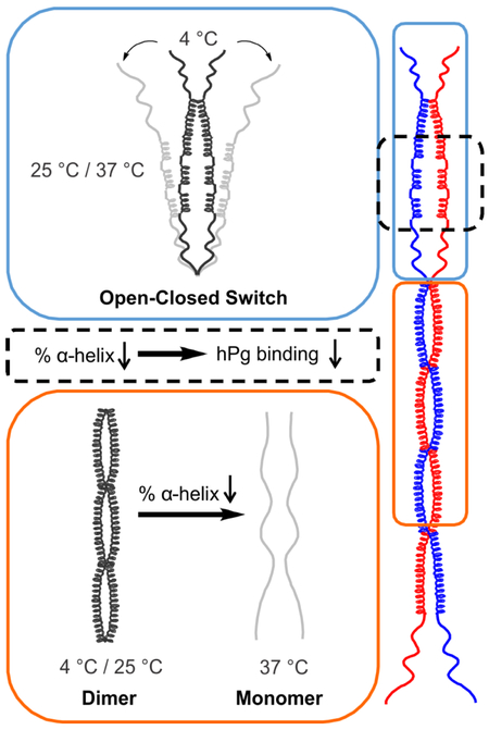 graphic file with name nihms-1523976-f0001.jpg