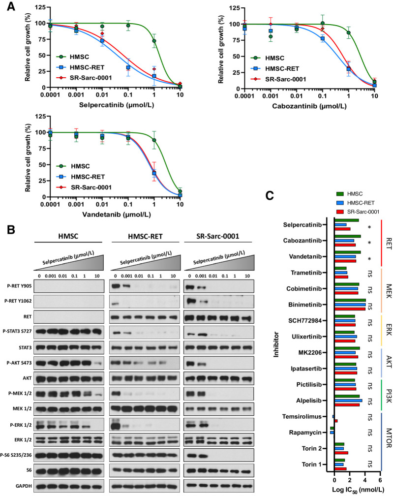 Figure 2. SPECC1L-RET–rearranged sarcoma models are sensitive to RET inhibition. A, Sensitivity of HMSC, HMSC-RET, and SR-Sarc-0001 cells to RET inhibitors was assessed using alamarBlue cell viability assay after 96-hour treatment. Data represent the mean ± SD of 6 measurements. Resulting IC50 values and 95% CIs are shown in the bottom right panel. B, Cells were treated with the indicated concentrations of selpercatinib for 90 minutes, then whole-cell extracts were prepared for Western blot profiling. C, Sensitivity of HMSC, HMSC-RET, and SR-Sarc-0001 cells to different RET, MEK, ERK, AKT, PI3K, or mTOR inhibitors was determined. IC50 values are shown as a bar plot. IC50 values and their 95% CIs of HMSC-RET and SR-Sarc-0001 cells were compared with the parental HMSCs to determine differential sensitivity. *, P < 0.05; ns, not significant.