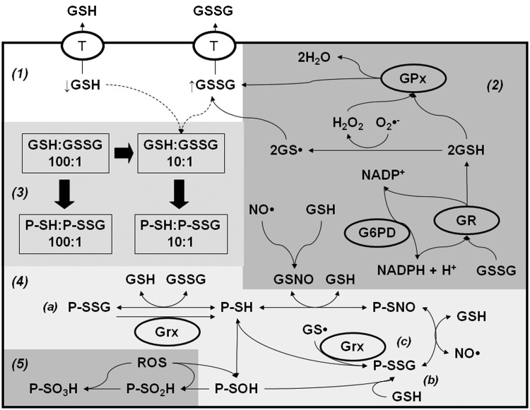 FIG. 6.