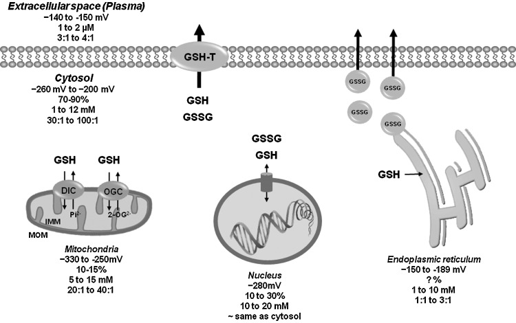 FIG. 3.