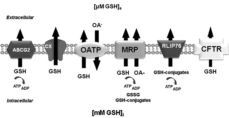 FIG. 4.