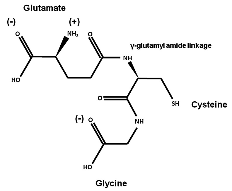 FIG. 1.