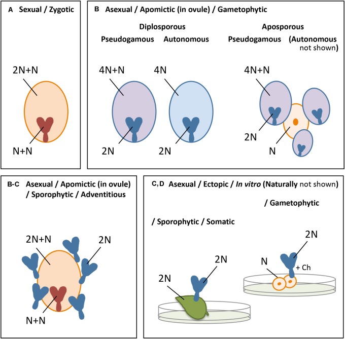 FIGURE 1