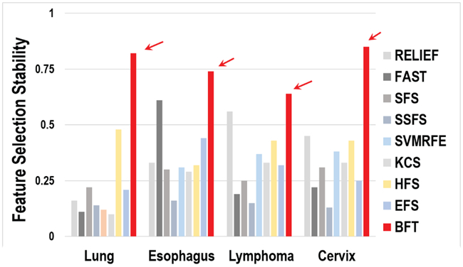 Fig. 2: