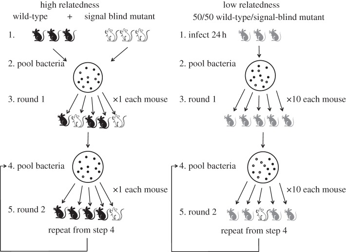 Figure 1.