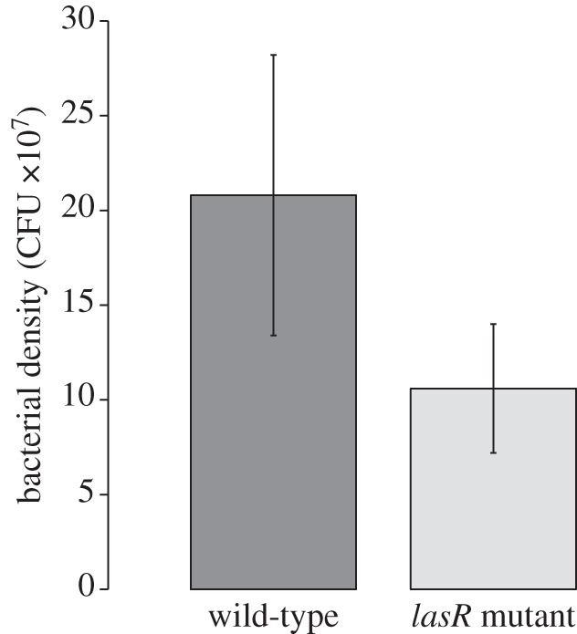 Figure 3.