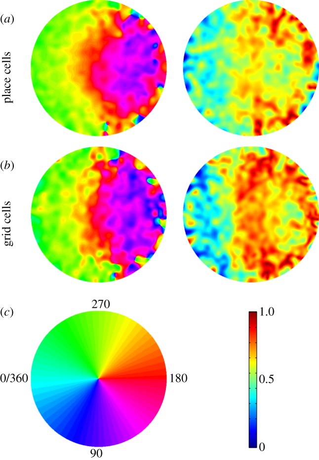 Figure 4.