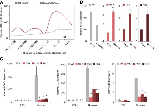 Figure 2