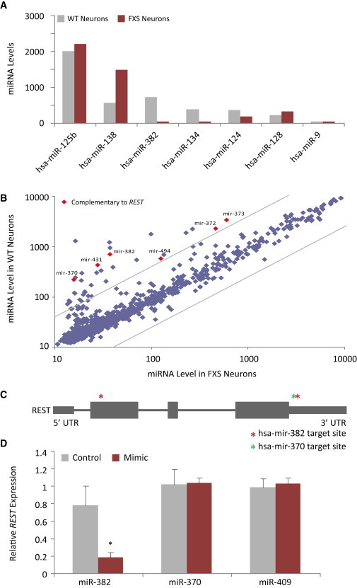 Figure 3