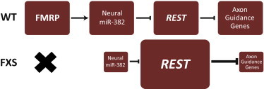 Figure 5