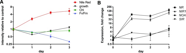 Figure 5.