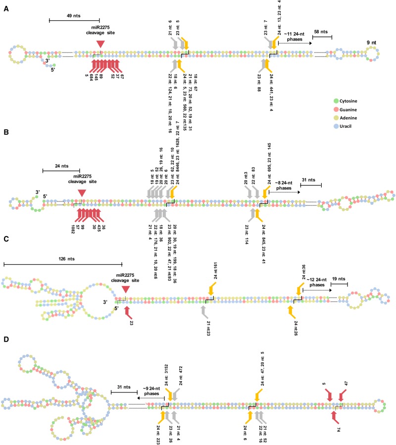 Figure 6.