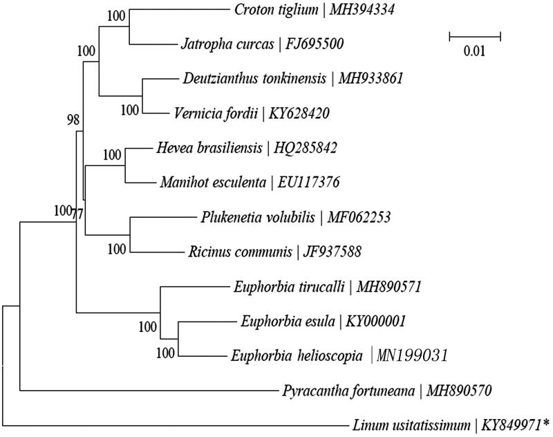 Figure 1.