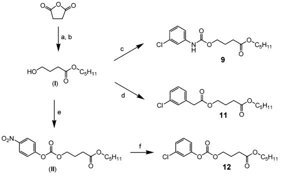 Scheme 2