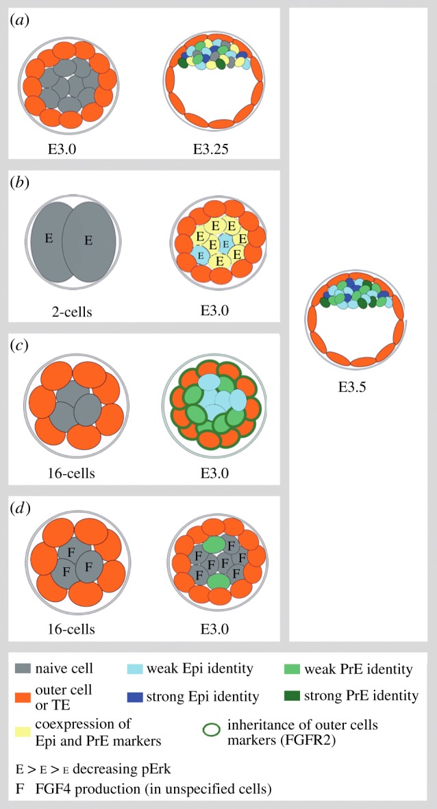 Figure 2.