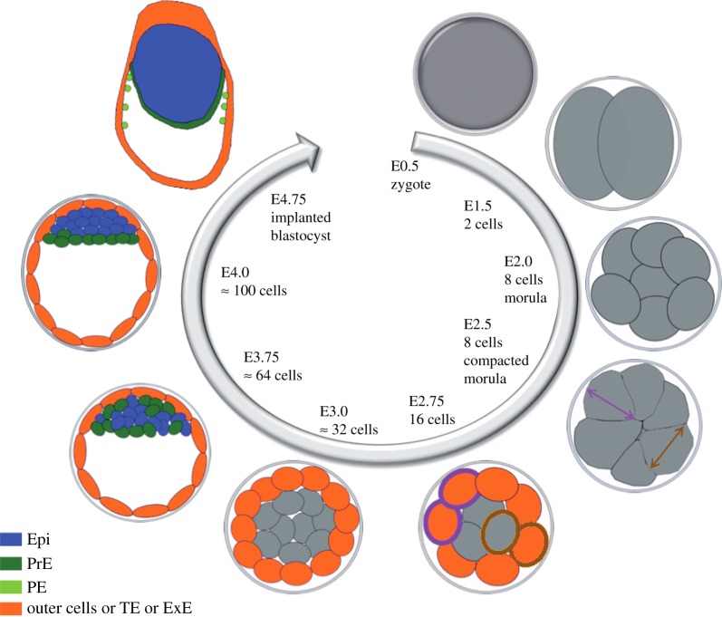 Figure 1.