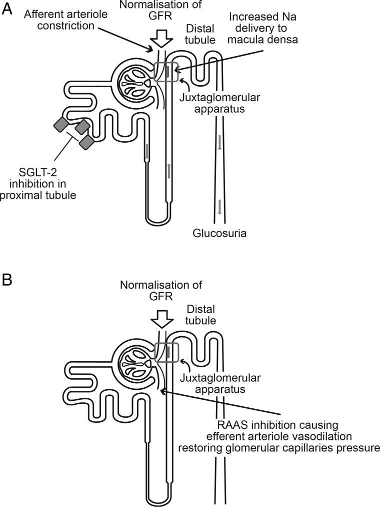 FIGURE 4: