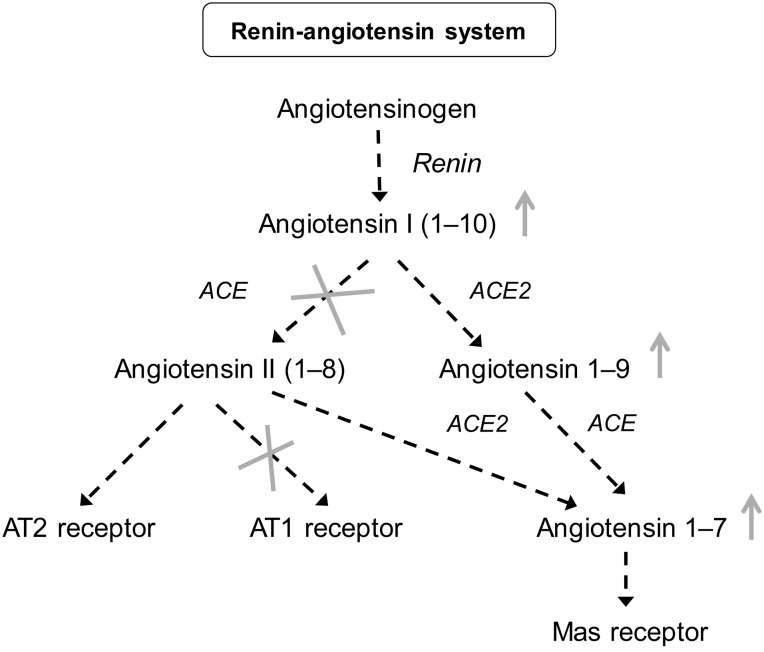 FIGURE 5: