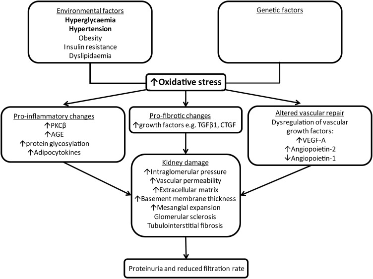 FIGURE 2: