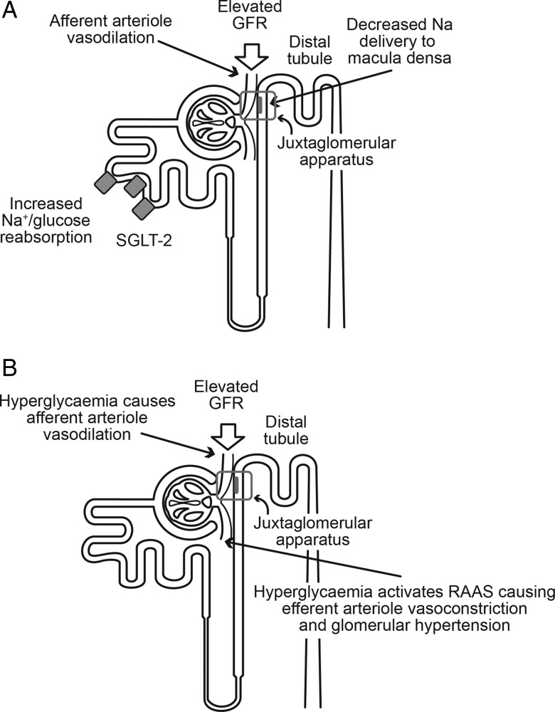 FIGURE 3: