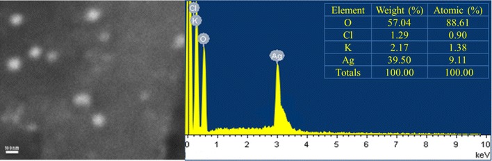 Fig. 2