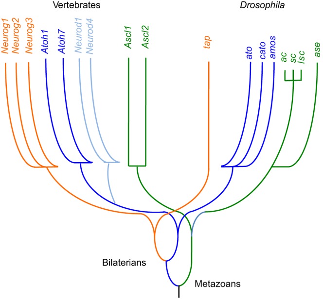 Fig. 1.