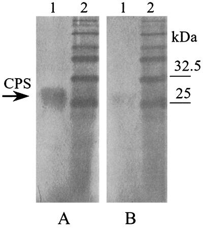 FIG. 5