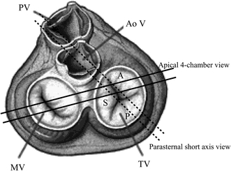 Fig. 6