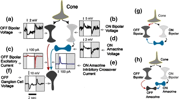 Fig. 3