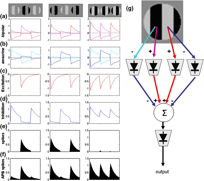 Fig. 10