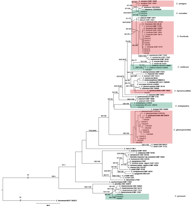 Fig. 2