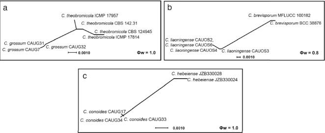 Fig. 8