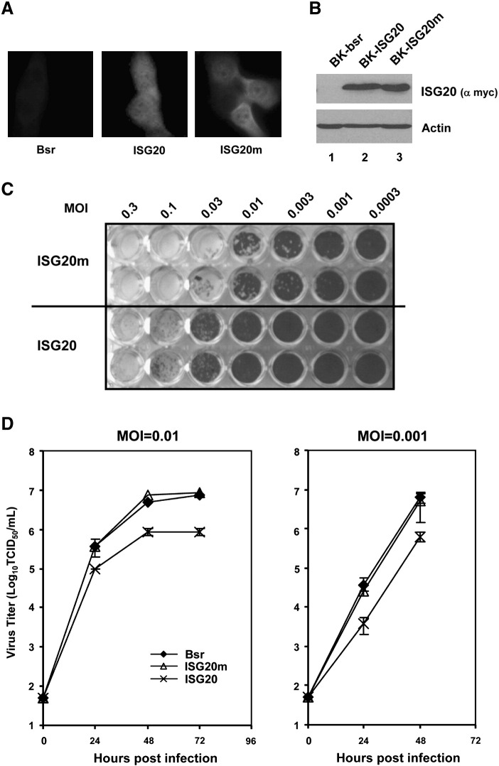 Fig. 6