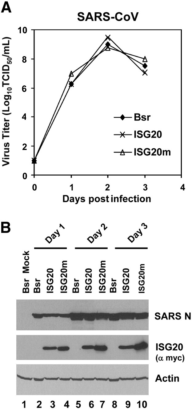 Fig. 9