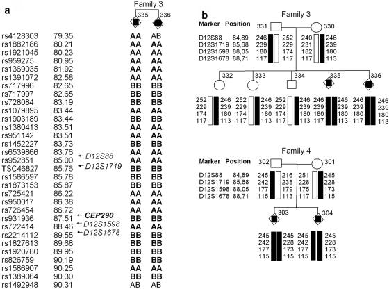 Figure  2. 