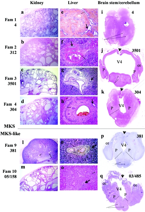 Figure  4. 