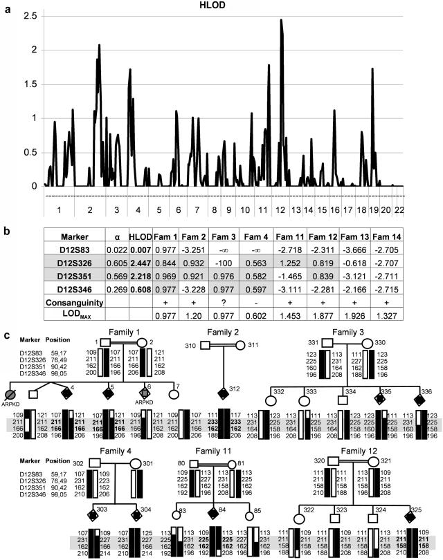 Figure  1. 