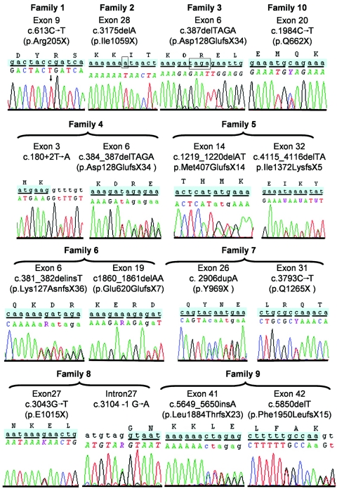 Figure  3. 