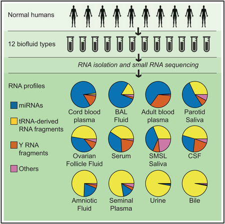 graphic file with name nihms-1511997-f0001.jpg