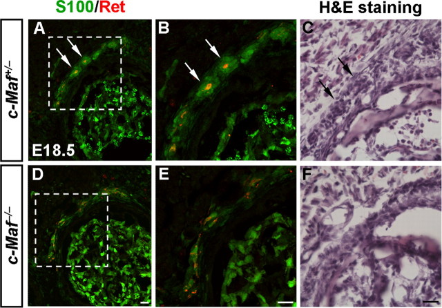 Figure 10.