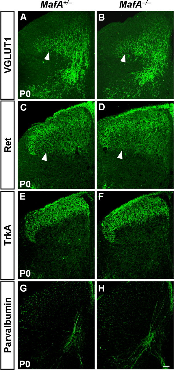 Figure 9.