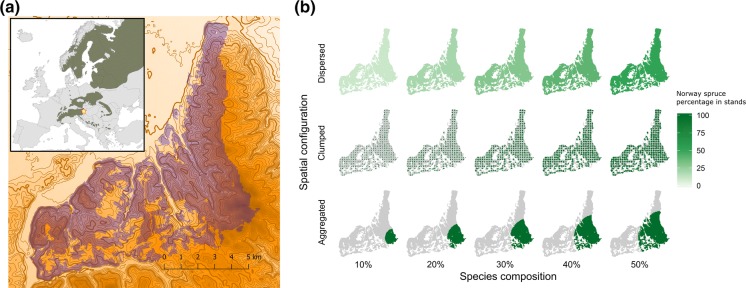 Fig. 1