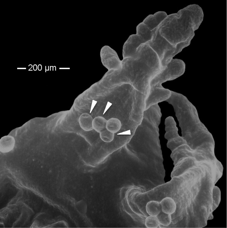 Figure 3.