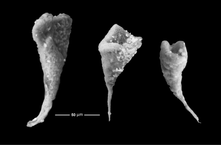Figure 4.