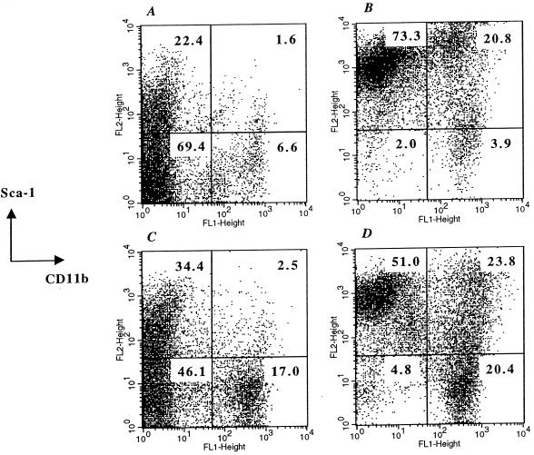 FIG. 3